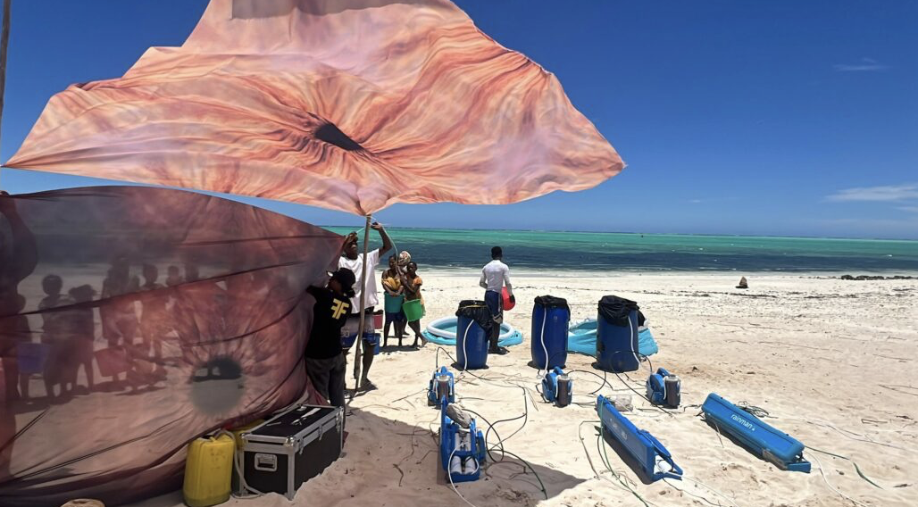 CWater team setting up water filtration units on the beach in Tsiandamba